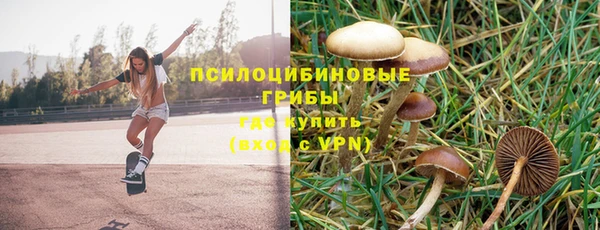 ешки Беломорск